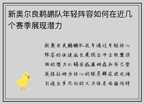 新奥尔良鹈鹕队年轻阵容如何在近几个赛季展现潜力