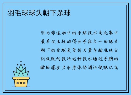 羽毛球球头朝下杀球
